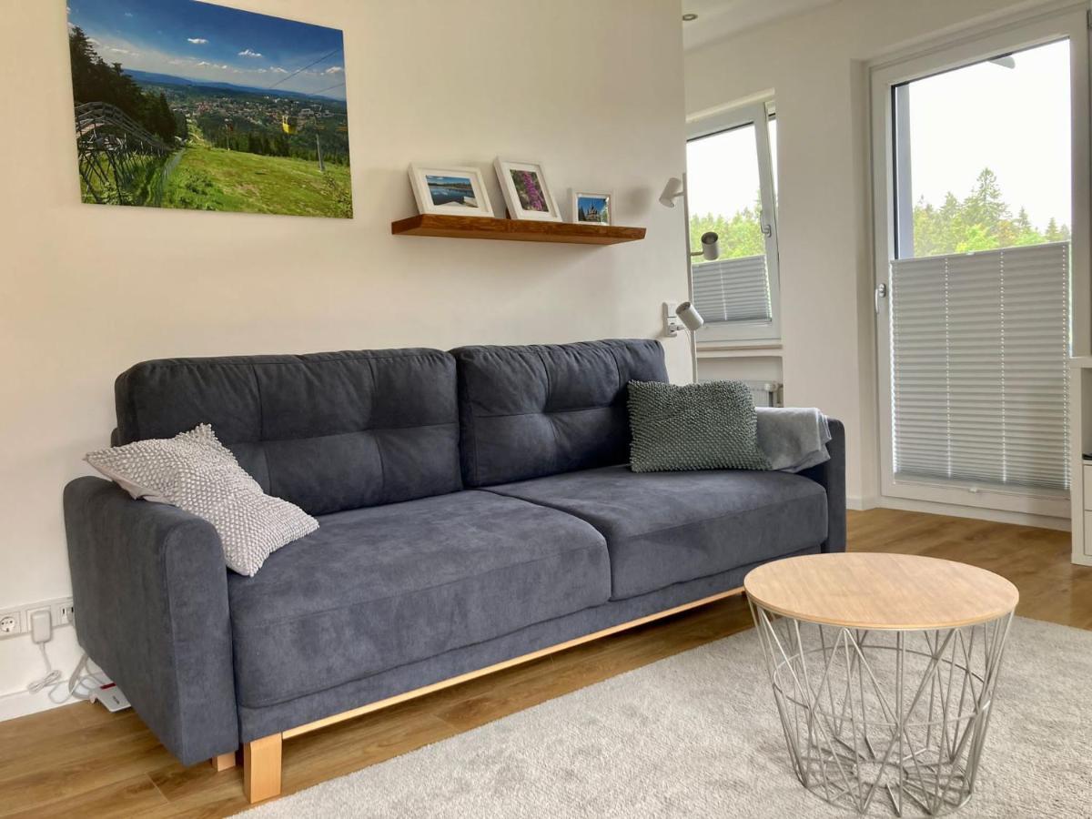 Hahnenklee Charme - Moderne Neue Ferienwohnung Mit 2 Balkons 戈斯拉尔 外观 照片