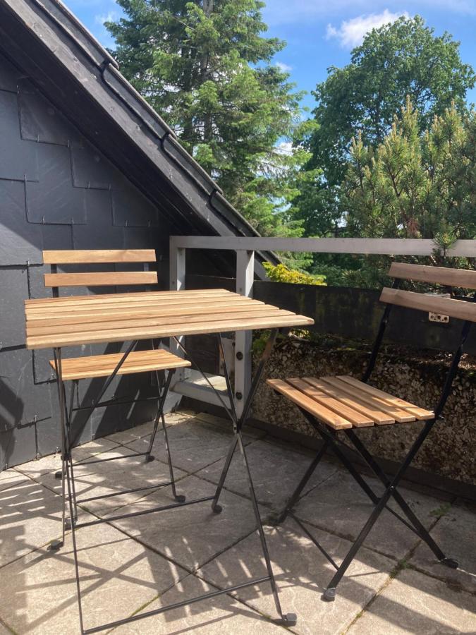 Hahnenklee Charme - Moderne Neue Ferienwohnung Mit 2 Balkons 戈斯拉尔 外观 照片
